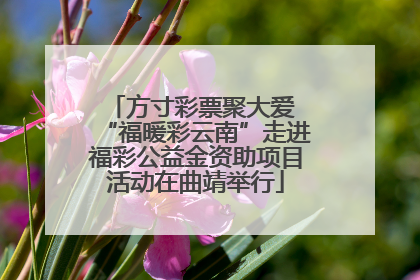 方寸彩票聚大爱 “福暖彩云南”走进福彩公益金资助项目活动在曲靖举行