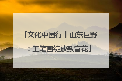 文化中国行丨山东巨野：工笔画绽放致富花