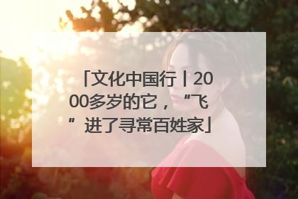 文化中国行丨2000多岁的它，“飞”进了寻常百姓家