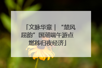 文脉华章｜“楚风屈韵”国潮端午游点燃秭归夜经济