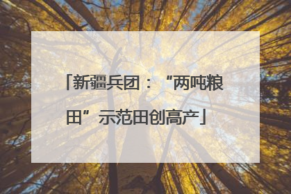 新疆兵团：“两吨粮田”示范田创高产