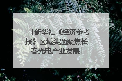 新华社《经济参考报》区域头题聚焦长春光电产业发展