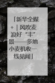 新华全媒+｜风吹麦浪好“丰”景——多地小麦机收一线见闻