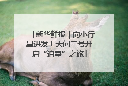新华鲜报｜向小行星进发！天问二号开启“追星”之旅