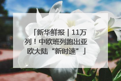 新华鲜报｜11万列！中欧班列跑出亚欧大陆“新时速”