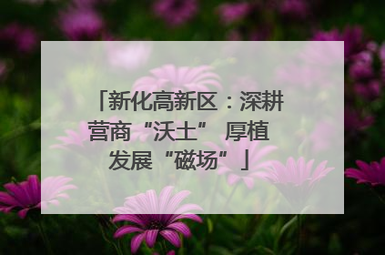 新化高新区：深耕营商“沃土” 厚植发展“磁场”