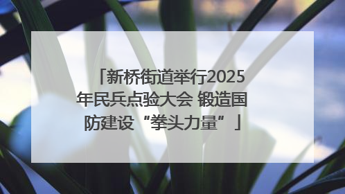 新桥街道举行2025年民兵点验大会 锻造国防建设“拳头力量”