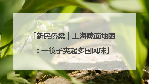 新民侨梁｜上海嗦面地图：一筷子夹起多国风味