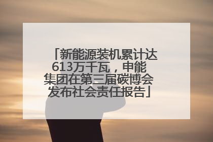 新能源装机累计达613万千瓦，申能集团在第三届碳博会发布社会责任报告
