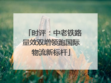 时评：中老铁路量效双增领跑国际物流新标杆