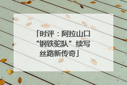 时评：阿拉山口“钢铁驼队”续写丝路新传奇
