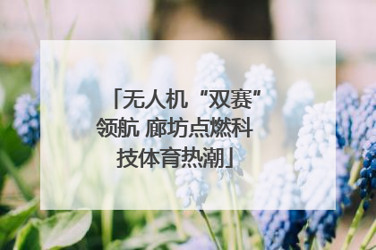 无人机“双赛”领航 廊坊点燃科技体育热潮