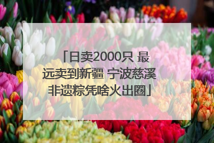 日卖2000只 最远卖到新疆 宁波慈溪非遗粽凭啥火出圈