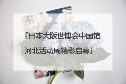 日本大阪世博会中国馆河北活动周精彩启幕