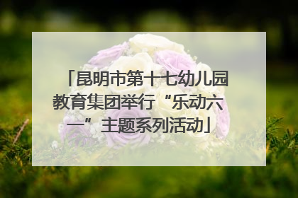 昆明市第十七幼儿园教育集团举行“乐动六一”主题系列活动
