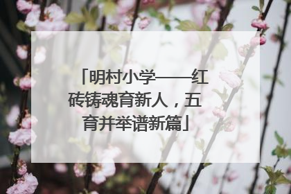明村小学——红砖铸魂育新人，五育并举谱新篇