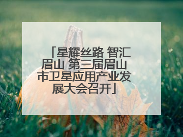 星耀丝路 智汇眉山 第三届眉山市卫星应用产业发展大会召开
