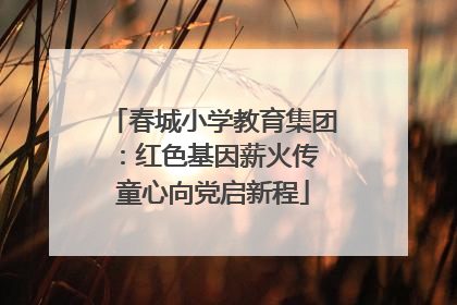 春城小学教育集团：红色基因薪火传 童心向党启新程