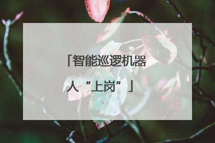 智能巡逻机器人“上岗”