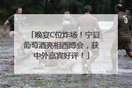 晚宴C位炸场！宁夏葡萄酒亮相西博会，获中外嘉宾好评！