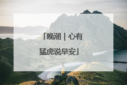 晚潮｜心有猛虎说早安