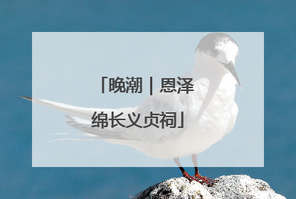 晚潮｜恩泽绵长义贞祠