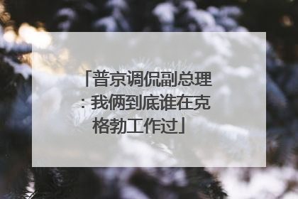 普京调侃副总理：我俩到底谁在克格勃工作过