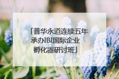 普华永道连续五年承办IBI国际企业孵化器研讨班