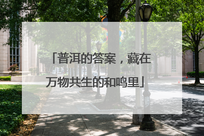 普洱的答案，藏在万物共生的和鸣里