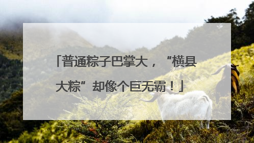 普通粽子巴掌大，“横县大粽”却像个巨无霸！