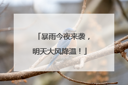 暴雨今夜来袭，明天大风降温！
