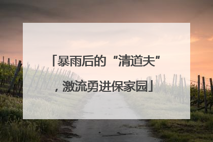 暴雨后的“清道夫”，激流勇进保家园