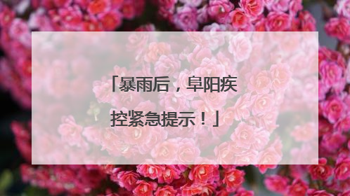 暴雨后，阜阳疾控紧急提示！