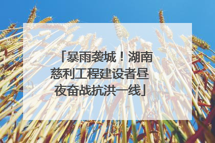 暴雨袭城！湖南慈利工程建设者昼夜奋战抗洪一线