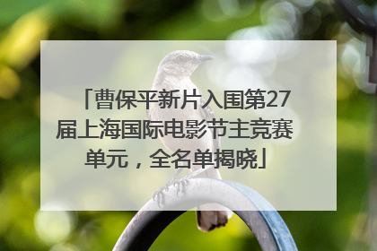 曹保平新片入围第27届上海国际电影节主竞赛单元，全名单揭晓