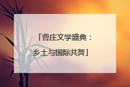 曹庄文学盛典：乡土与国际共舞