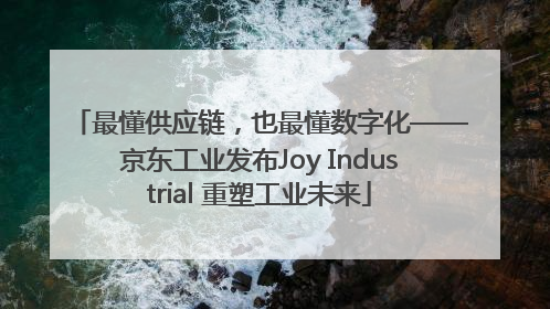 最懂供应链，也最懂数字化——京东工业发布Joy Industrial 重塑工业未来