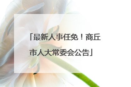 最新人事任免！商丘市人大常委会公告