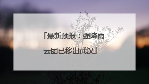 最新预报：强降雨云团已移出武汉