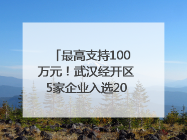 最高支持100万元！武汉经开区5家企业入选2025年度武汉市重点研发计划拟立项项目名单