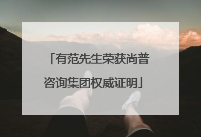 有范先生荣获尚普咨询集团权威证明