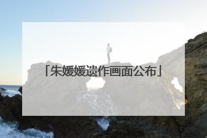 朱媛媛遗作画面公布