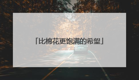 比棉花更饱满的希望