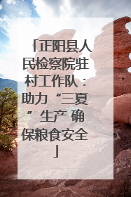 正阳县人民检察院驻村工作队：助力“三夏”生产 确保粮食安全