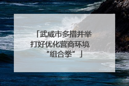 武威市多措并举打好优化营商环境“组合拳”