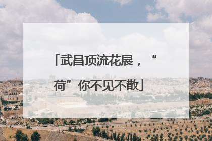 武昌顶流花展，“荷”你不见不散