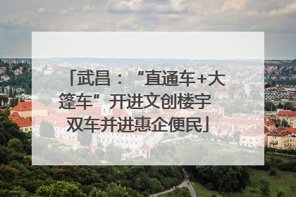 武昌：“直通车+大篷车”开进文创楼宇 双车并进惠企便民