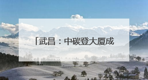 武昌：中碳登大厦成立楼宇党委 推进双碳产业高质量发展