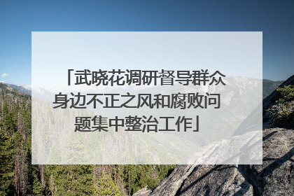 武晓花调研督导群众身边不正之风和腐败问题集中整治工作