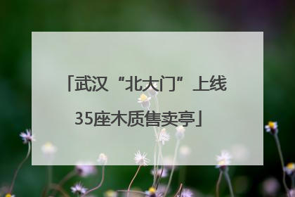 武汉“北大门”上线35座木质售卖亭